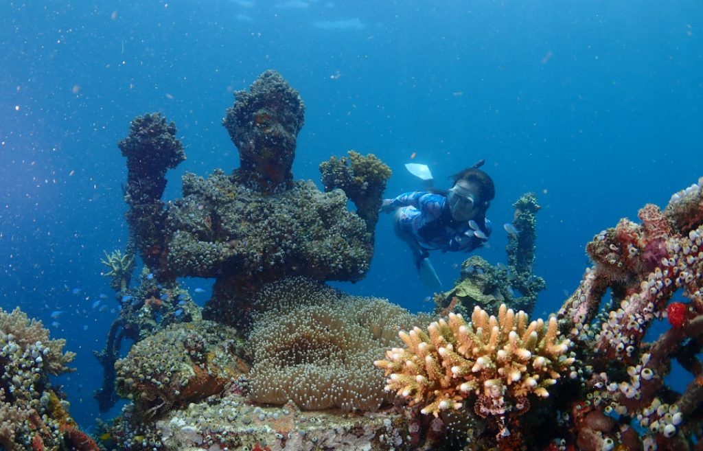 Biorock Desa Pemuteran merupakan konservasi terumbu karang buatan