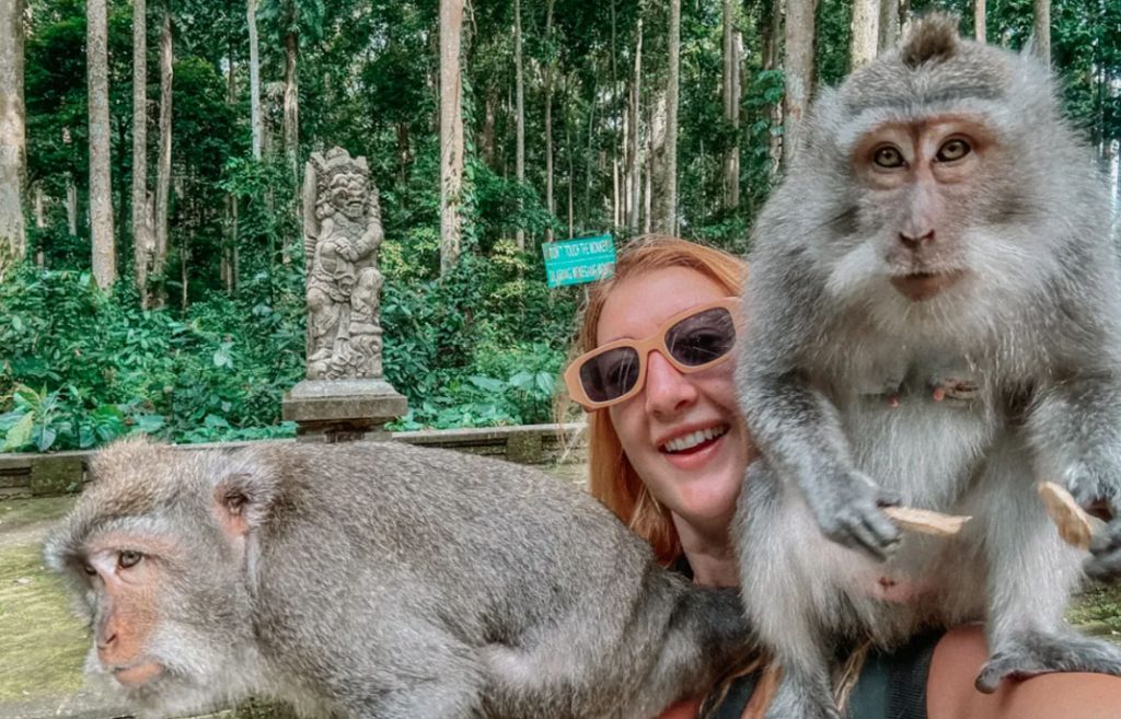 Ulasan sangeh monkey forest badung bali