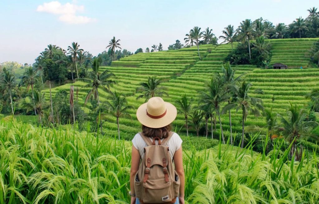 penandangan sawah terasering di desa wisata jatiluwih