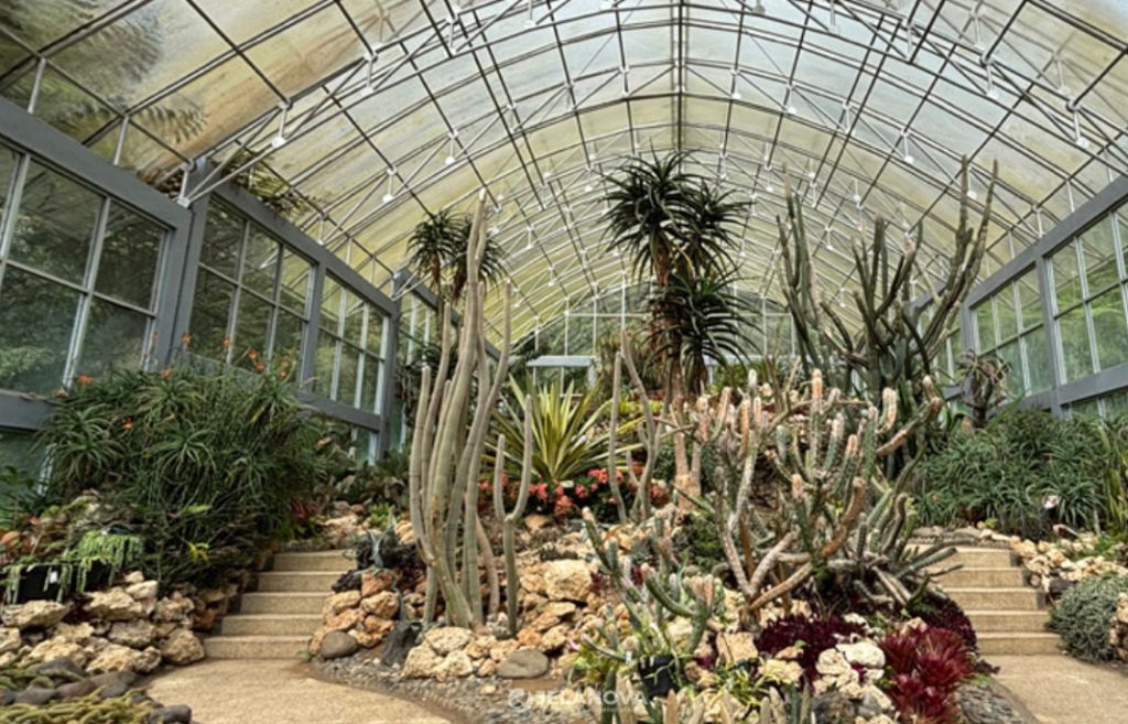rumah kaca kaktus kebun raya bali