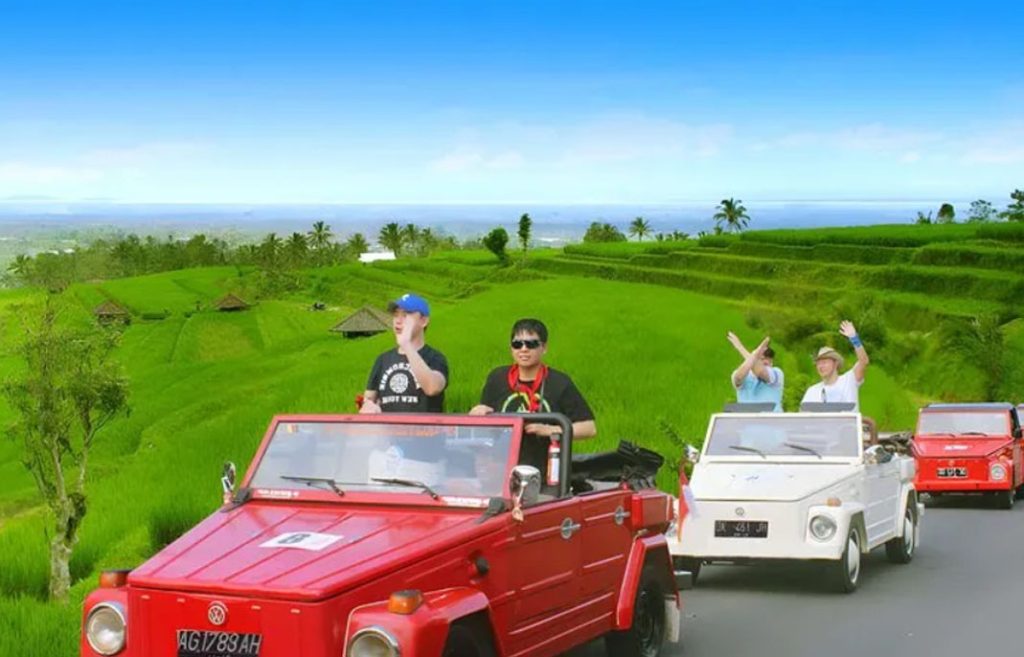 safari vw di sawah jatiluwih