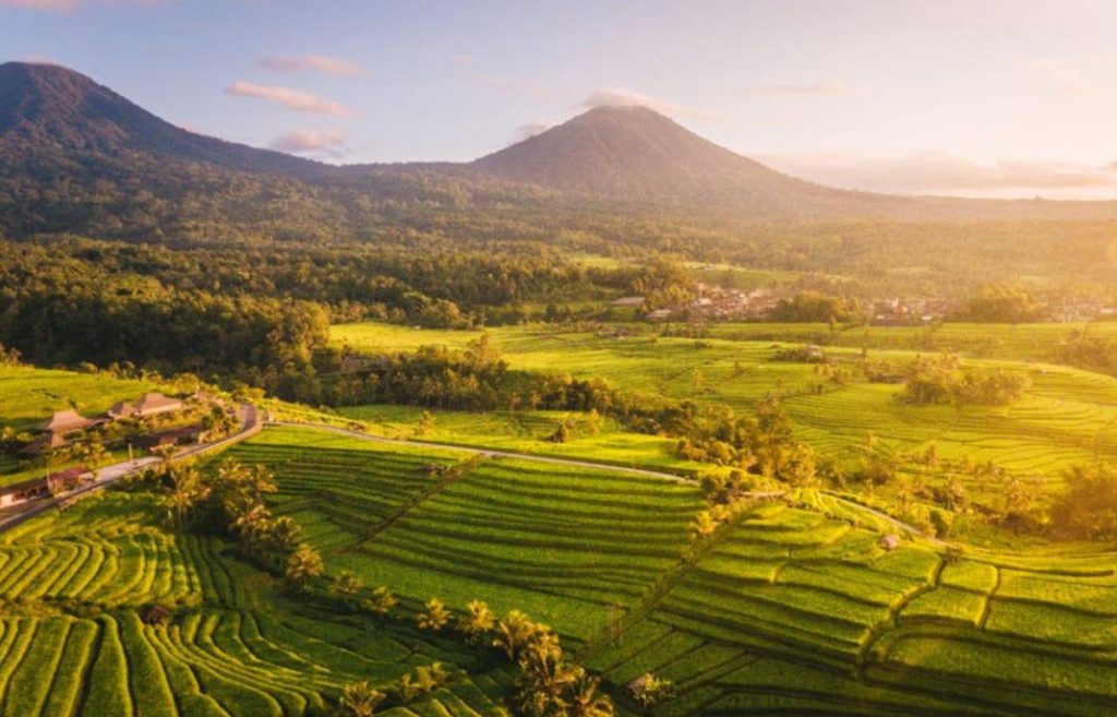 sawah terasering di desa wisata jatiluwih