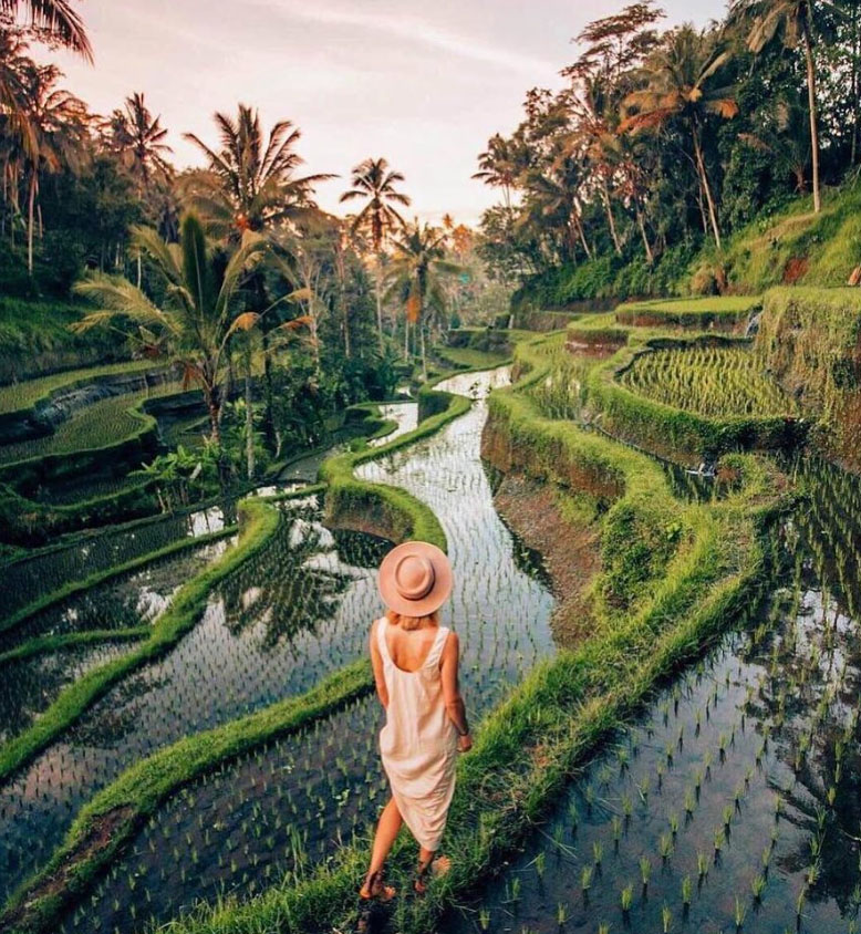 tegalalang-rice-terrace-ubud
