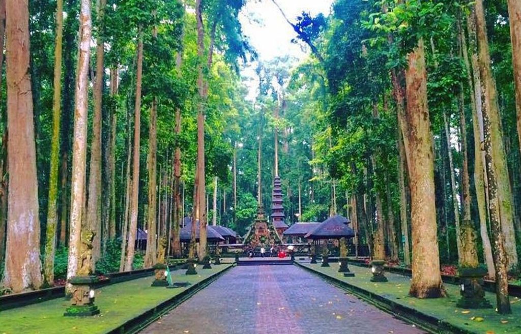 view sangeh monkey forest