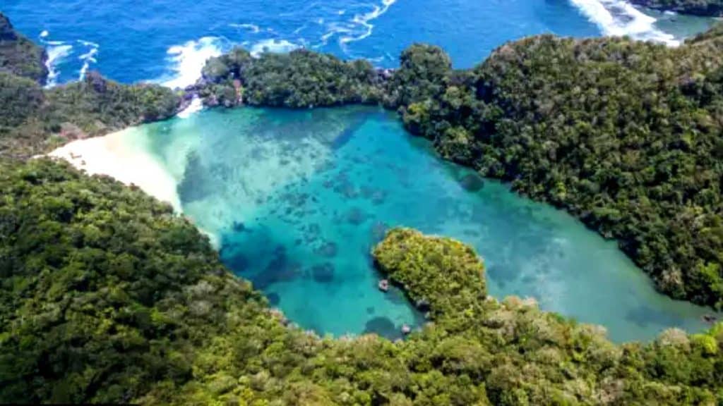 Segara Anakan Lagoon Pulau Sempu