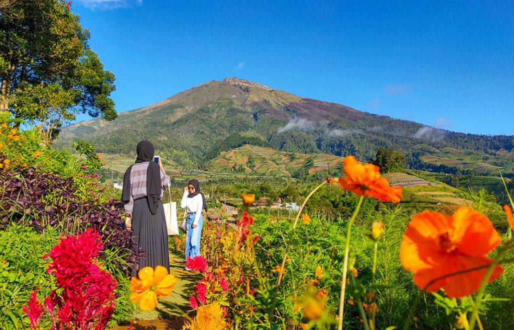 Taman Bunga Langit Silancur 