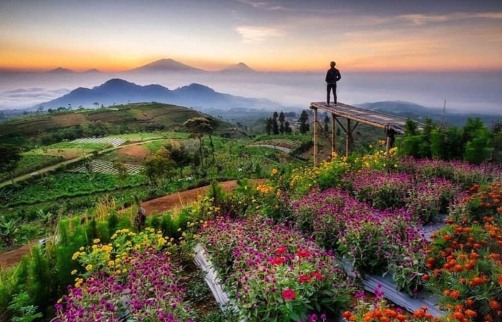 The Golden Sunrise Theater Silancur Highland