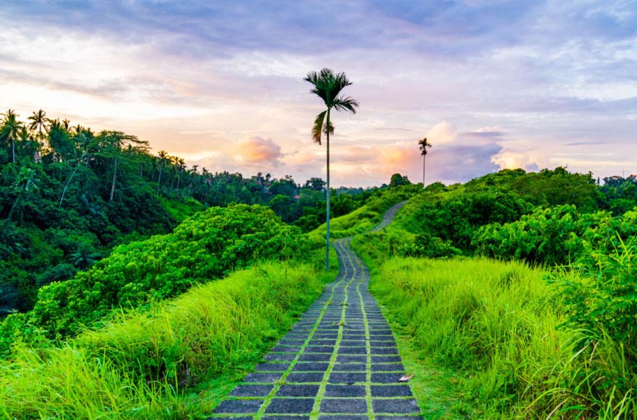 Sunrise over Campuhan Ridge Walk in Ubud