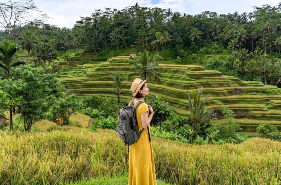 Tegalalang Rice Terrace WIsata Alam Terbaik Bali
