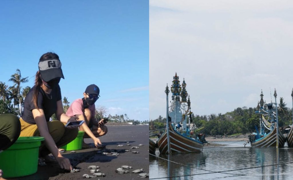 daya tarik desa wisata jembrana bali