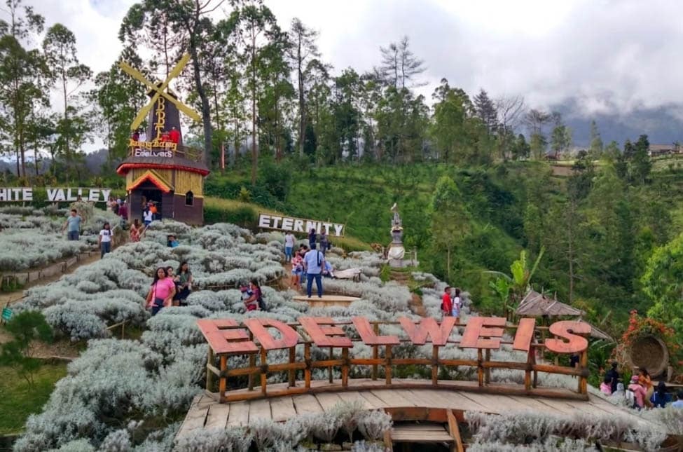 daya tarik taman edelweis bali
