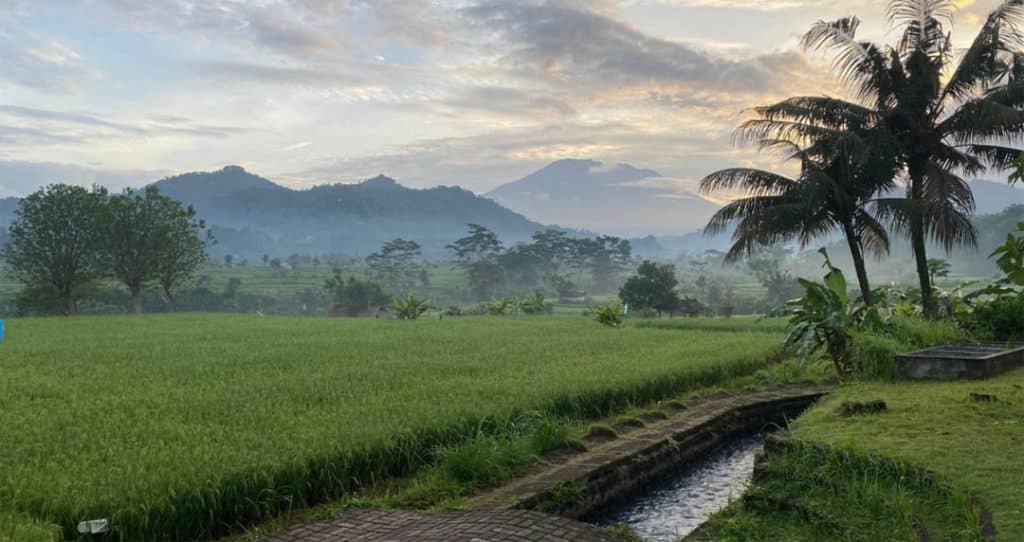 jalur trekking di desa sidemen view sawah dan gunung