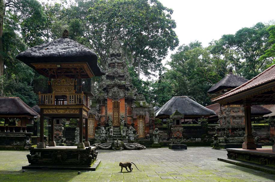 monkey forest ubud bali