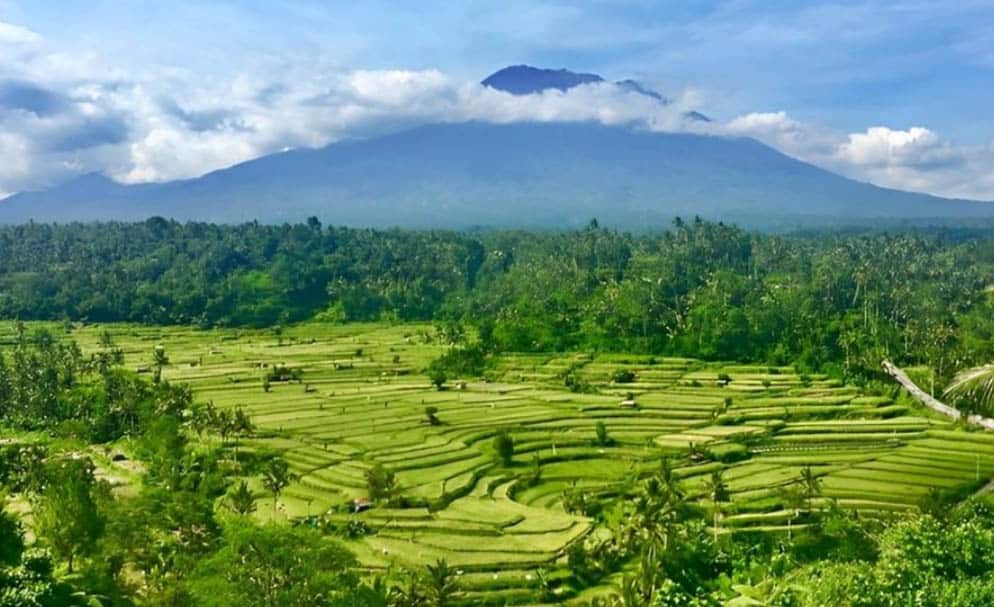 view sawah hijau dan gunung agung di bukit jambul bali