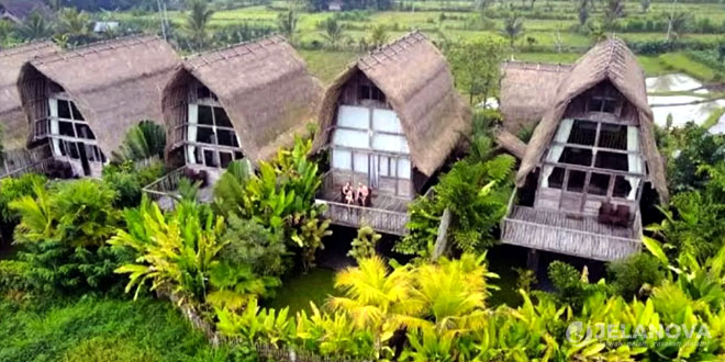 Desa Wisata Undisan: Pengalaman Budaya Autentik di Pedesaan Bali