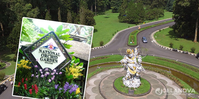 Kebun Raya Bedugul Bali: Cocok atau Tidak untuk Liburan Keluarga?