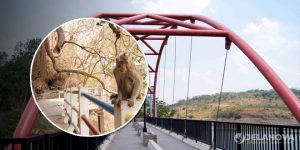 Goa Kreo, Destinasi Wisata Ikonik Bernuansa Alam & Legenda di Semarang