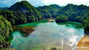 Eksotisnya Pulau Sempu: Antara Surga Tersembunyi dan Kawasan Konservasi