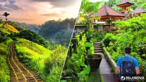 Campuhan Ridge Walk Ubud: Jalur Trekking Dengan Spot Sunrise dan Sunset Favorit di Ubud