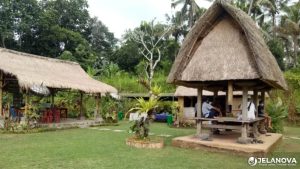 Desa Wisata Pinge Tabanan Bali: Lokasi, Aktivitas, dan Daya Tariknya