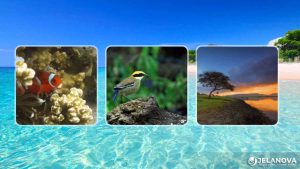 Taman Nasional Bali Barat: Surga Alam di Ujung Barat Bali yang Wajib Masuk Wishlist Liburan