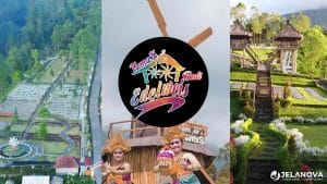 Taman Edelweiss Bali: Spot Bunga di Karangasem dengan View Gunung Agung yang Bikin Betah