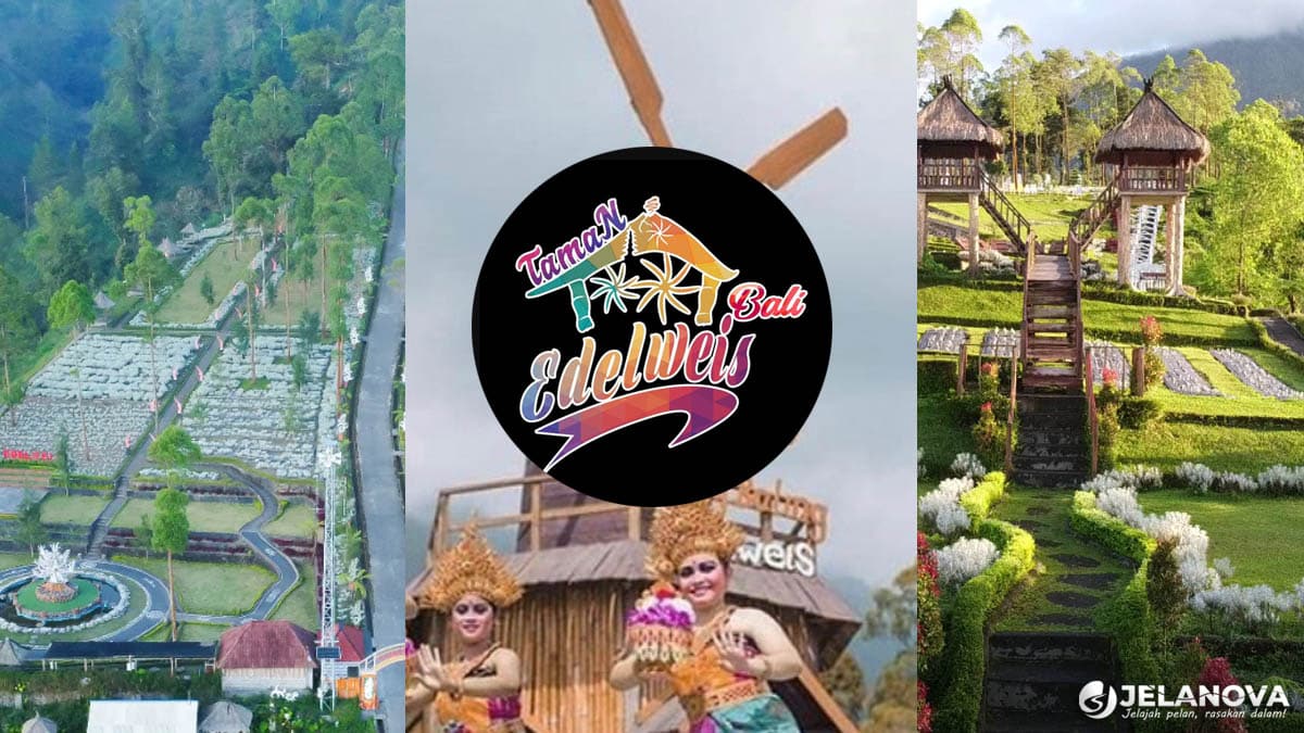 Taman Edelweiss Bali: Spot Bunga di Karangasem dengan View Gunung Agung yang Bikin Betah